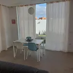 Surf House & Surf School אכסניה